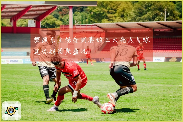 樊振东主场告别赛的三大亮点与球迷观战团聚盛况
