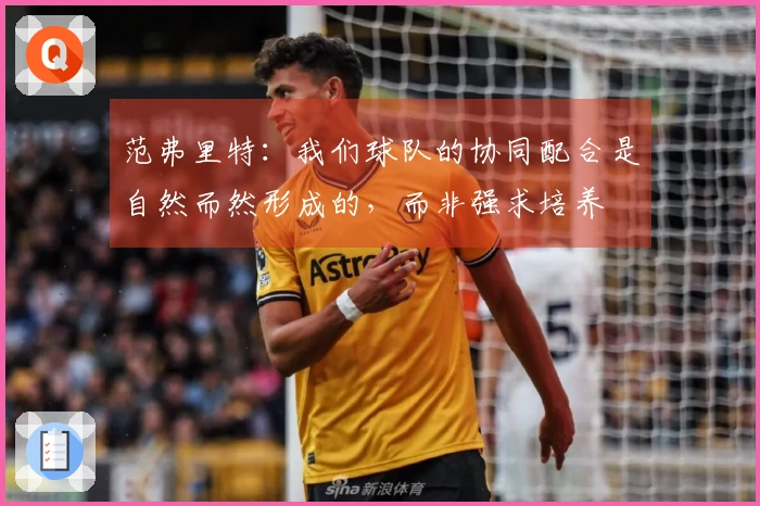 范弗里特：我们球队的协同配合是自然而然形成的，而非强求培养